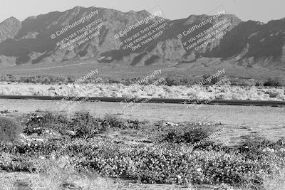 media/Jan-29-2023-PCA San Diego (Sun) [[aa0301ccc2]]/Yellow Group/Around the Pits/